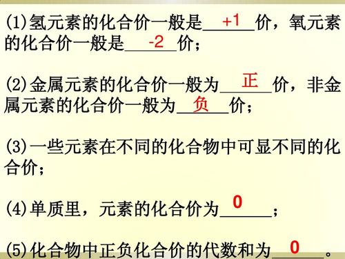 中考复习 化合价和化学式答案ppt
