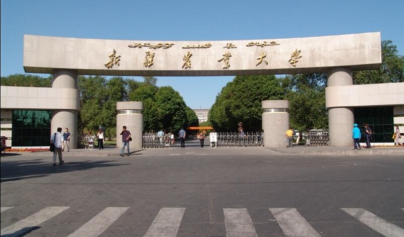 新疆农业大学校园风景127196