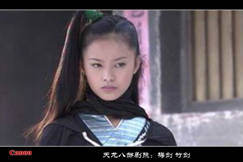 天龙八部竹剑梅剑剧照