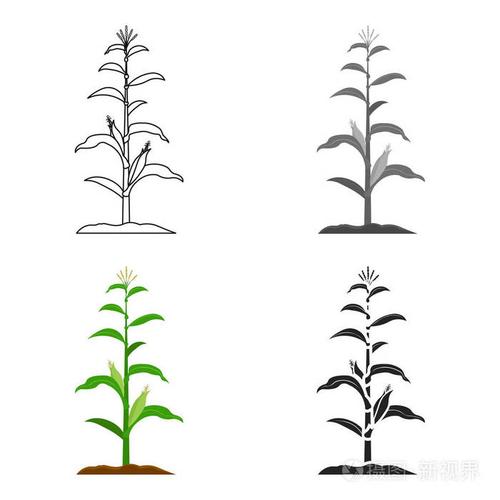 玉米图标卡通.从大的农场,花园,农业卡通单株图标