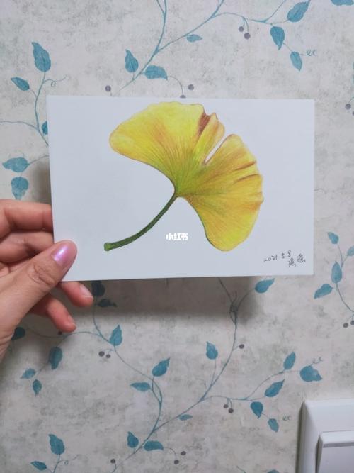 初学彩铅画之银杏叶_银杏_彩铅画_阴影_学习_线稿_文化_绘画