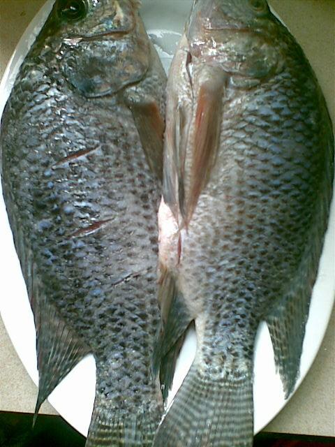 这是市场上常见的鱼,也是家庭比较常吃的鱼,以前知道叫什么,现在忘了