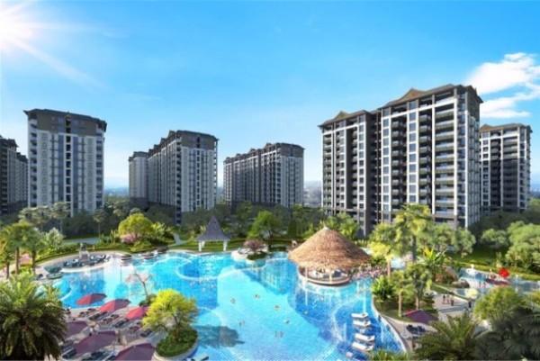 【深度解析】西双版纳远达·雨林时光为什么能够销冠全城?