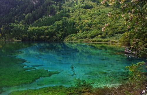 唯美意境的微信九寨沟风景图片为您奉上,喜欢的朋友快下载使用吧!