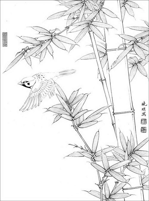 李晓明工笔花鸟白描 - 第6页 _美术作品_无为斋