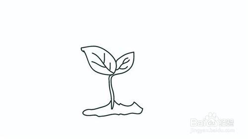 绿色树苗简笔画