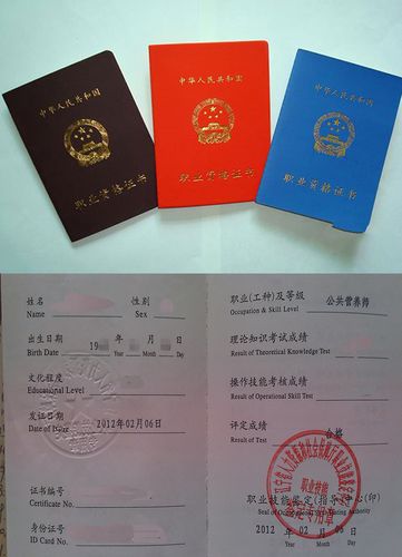 六条规定"劳动部负责以技能为主的职业资格鉴定和证书的核发与管理")