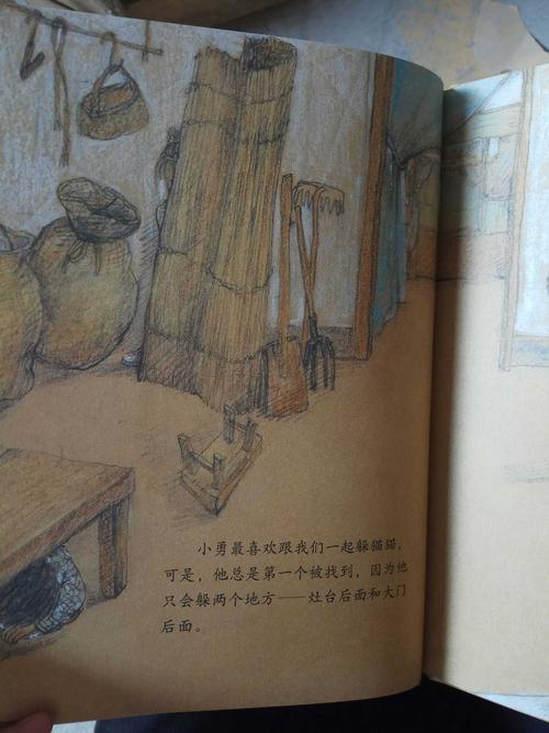 原创图画书系列 躲猫猫大王_7折现价24.8元