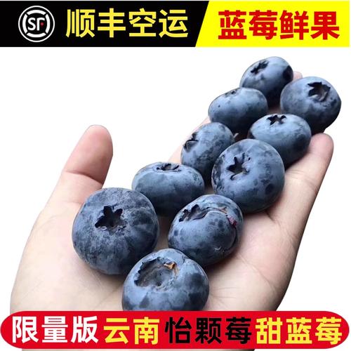 怡颗莓蓝莓鲜果限量版整箱12盒现货顺丰包邮当季孕妇护眼水果新鲜
