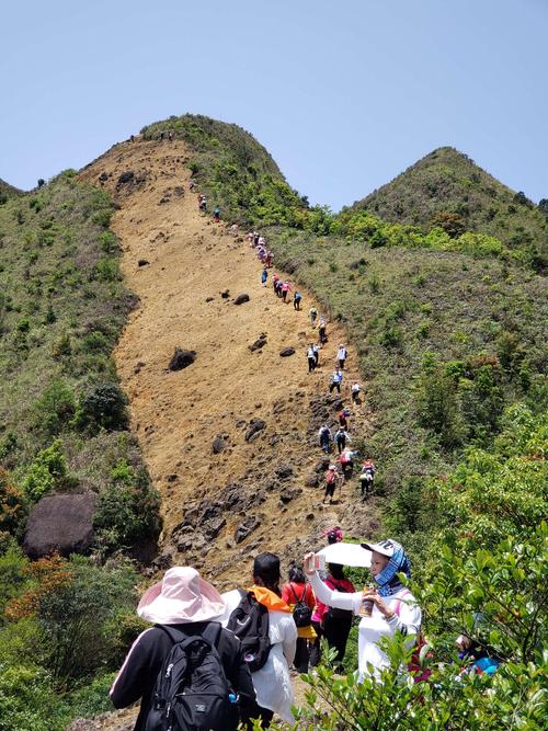 高州大水坑顶赏花