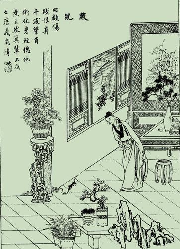 《聊斋志异》 中《义鼠》篇手绘图