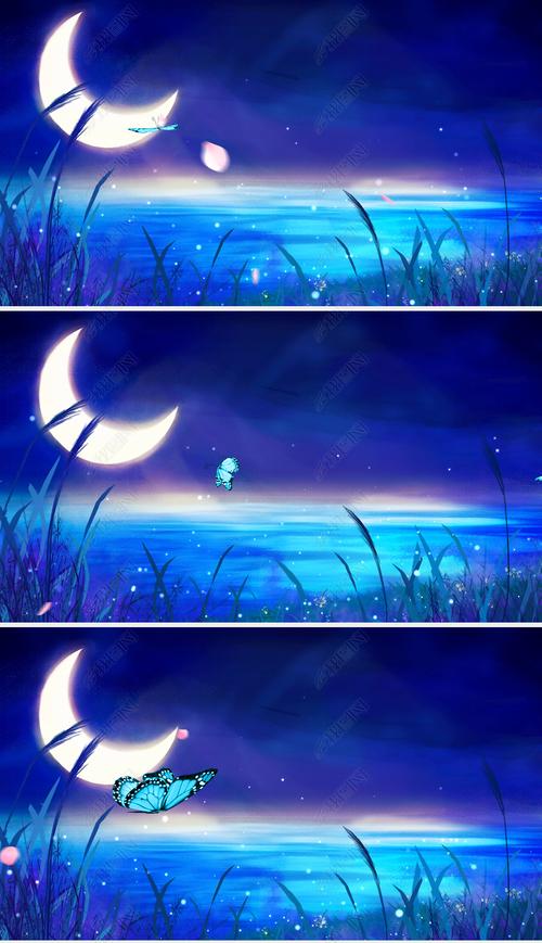 蓝色月光曲月夜湖面星空粒子蝴蝶花瓣飞舞led背景视频