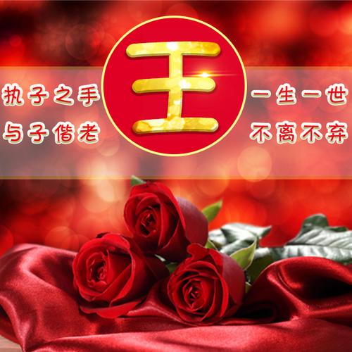 编号1586,10个姓氏,玫瑰花的告白-微信头像,百家姓氏