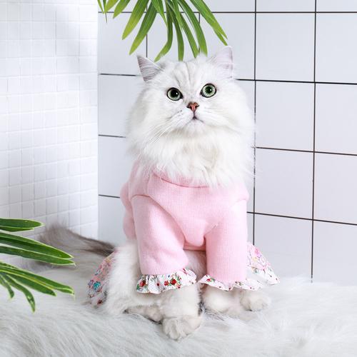 衣服猫咪秋冬可爱碎花公主小猫网红防掉毛冬季宠物服装