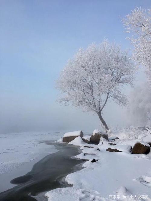 吉林雾凇美景