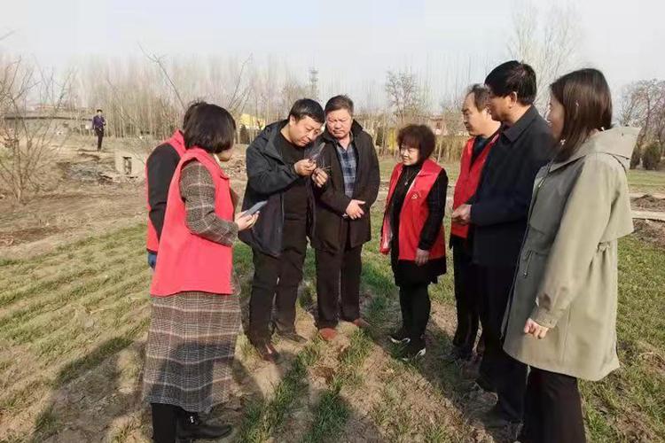 2月22日—23日,小麦研究所副书记杨峰带领专家深入洪洞县赵城镇,明姜