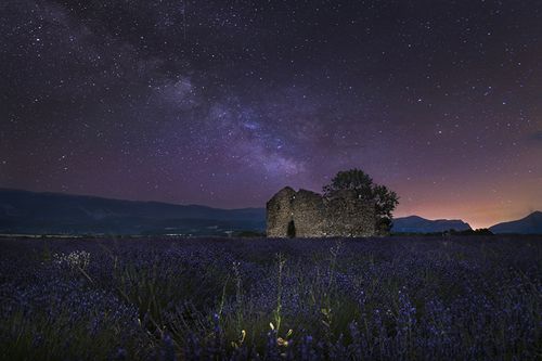 法国,田地,薰衣草,天空,恒星,废墟,valensole,晚上,大自然