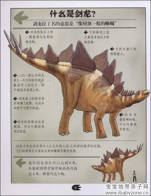 漫话恐龙故事剑龙