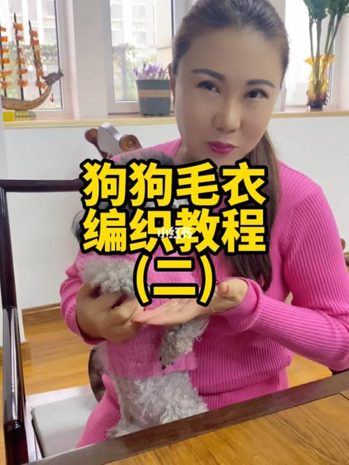狗狗毛衣编织教程二