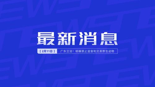 最新消息视频封面自定义标题新闻报道热点新闻电视台蓝色简约新闻实事