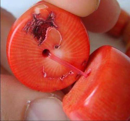 这个红珊瑚什么时候的?价值如何?