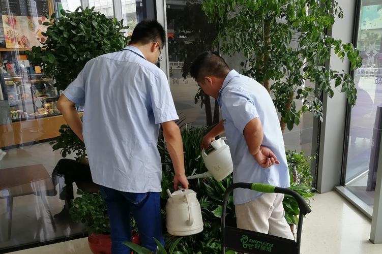 室内绿植养护-室内绿植养护-苏州绿化养护苏州绿化是.