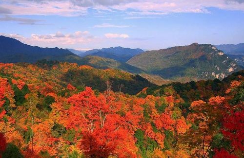 南江光雾山镇