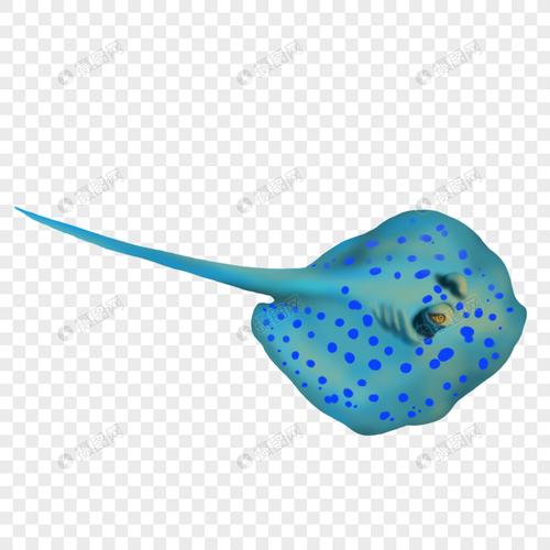 免抠元素 手绘/卡通元素 手绘海洋生物鳐鱼.psd