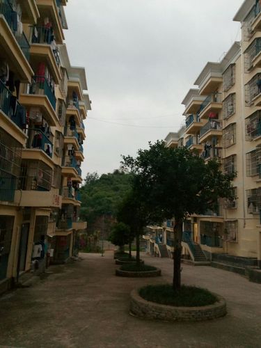 兴义市顶兴学校端午节假期摄影