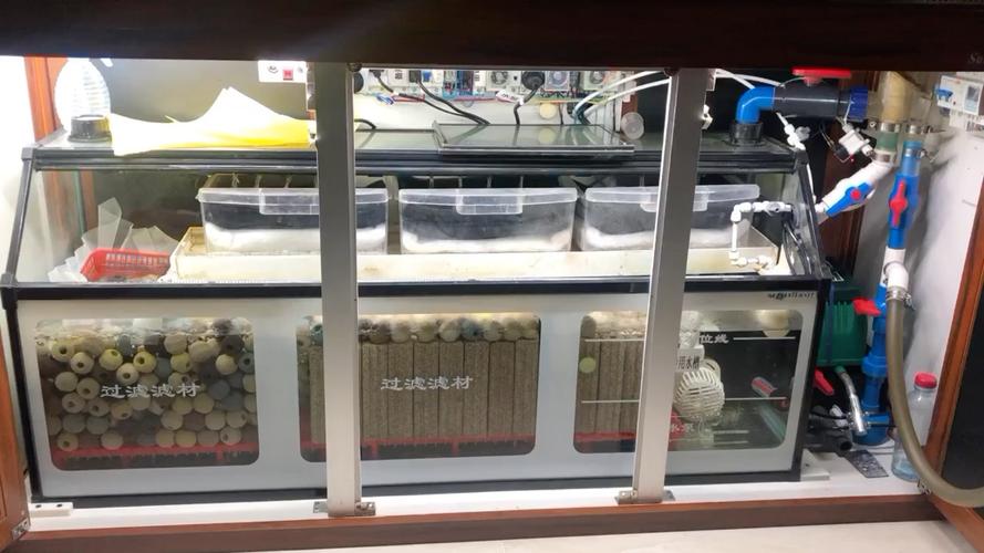 两年的锦鲤缸继续加强底滤,无死水