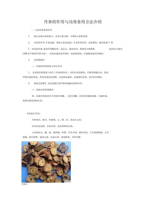 丹参的作用与功效食用方法介绍
