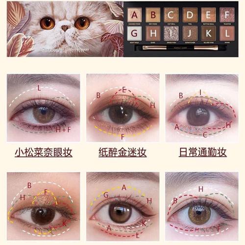 完美日记眼影动物猫咪小狗老虎小猪锦鲤玉兔王者眼影