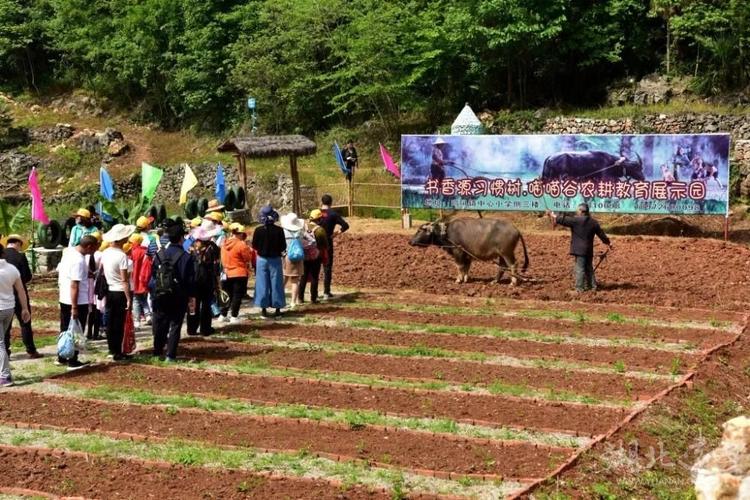 河口乡:"亲子农耕乐翻天"文化旅游节顺利举办