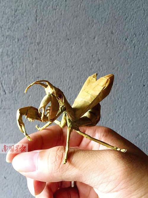 折纸作品"螳螂".