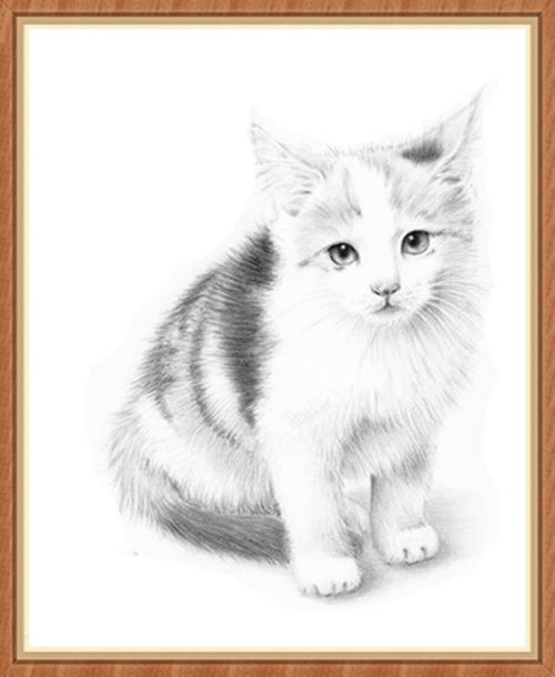 手绘给宠物画像画画素描定制画狗狗小动物猫咪肖像画头像电脑手绘