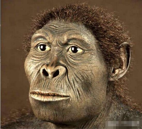 二,太空人与地球动物混血后代: 1,与猿类产生的后代一一类猿人,之后