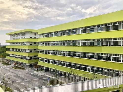嘉定新城实验中学位于温泉路280号   东至e14-6地块,南至双单路