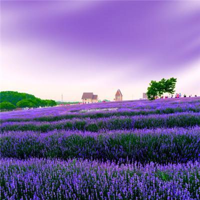 能带来好运的微信头像图片超美_最吉利的好看头像_微信好运吉祥招财头