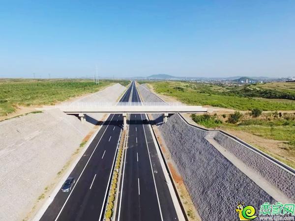 【恋家大数据】武安洺湖新区规划 原来还有大学!