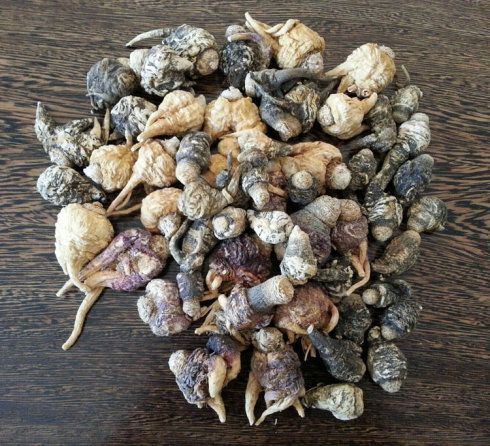 如何识别真假玛卡