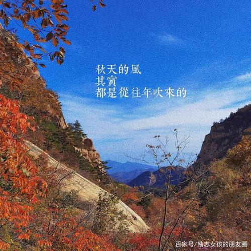 霜降文案‖霜降三旬后,蓂馀一叶秋,20句霜降温柔朋友圈文案