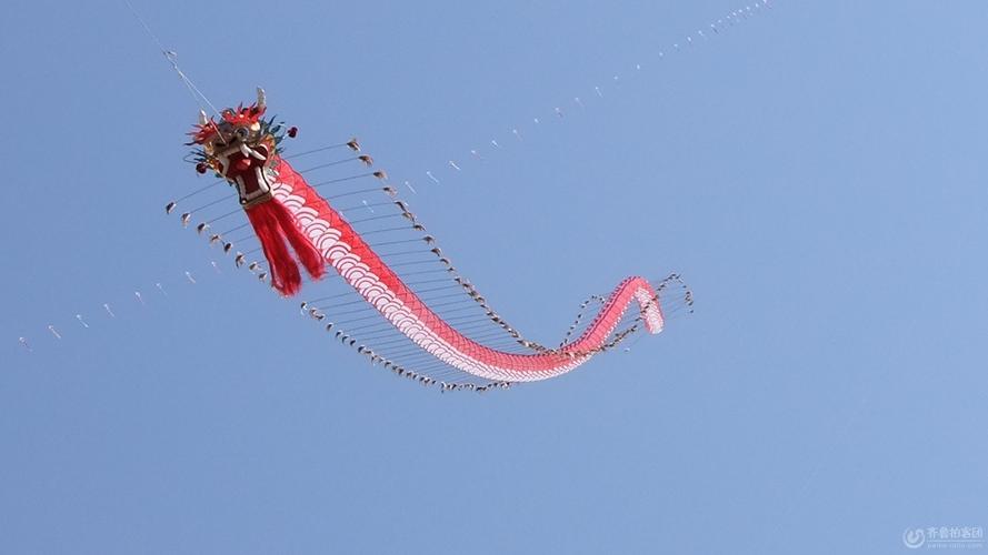 《社会实践活动——品龙井茶,放龙形风筝》