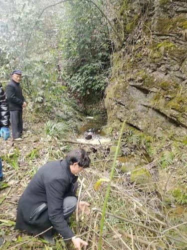 镇雄赤水源山里发现一名70岁老人尸体!_板桥村