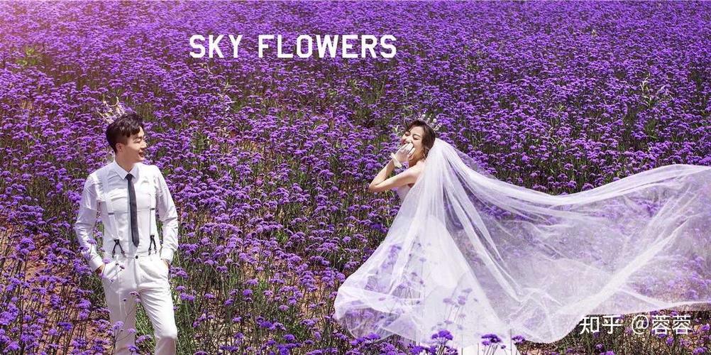 紫色的薰衣草梦幻的色彩花海婚纱照0069