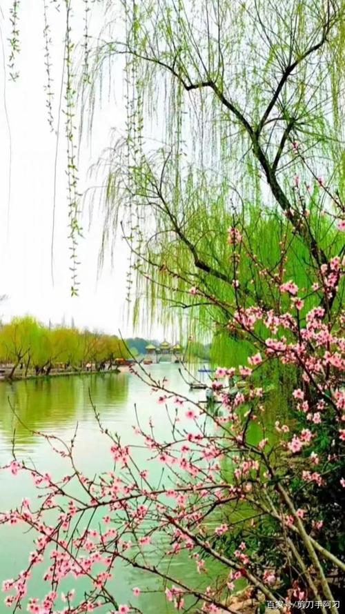 最美的风景分享给你