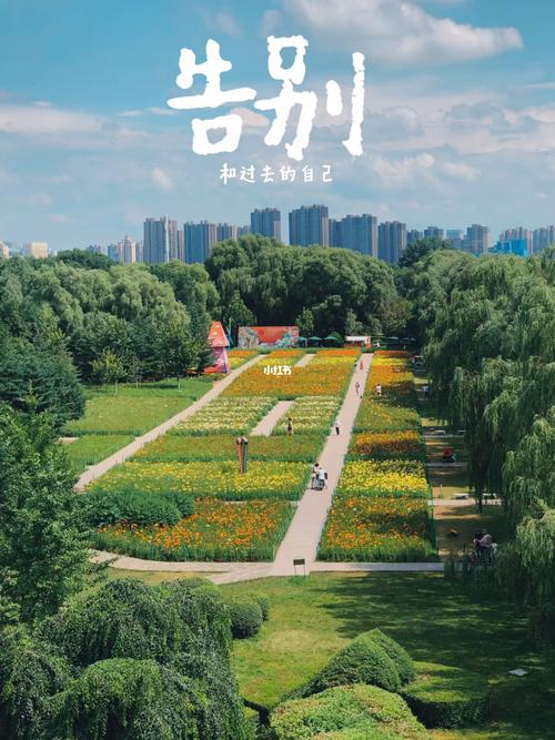 和过去的自己告别.永远年轻,永远热泪盈眶._生活记录