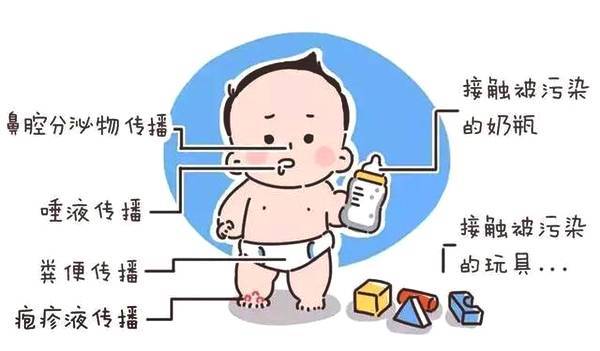 水痘是一种由水痘带状疱疹病毒所引起的急性传染病,水痘患者多为1