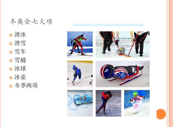 了解冬奥会的项目,七大项