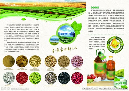 简约风农产品宣传折页图片