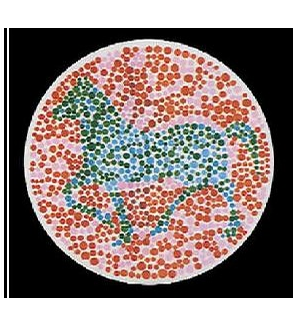 辨别色盲的动物图片